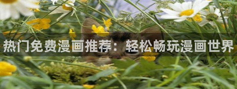 age漫画网：热门免费漫画推荐：轻松畅玩漫画世界