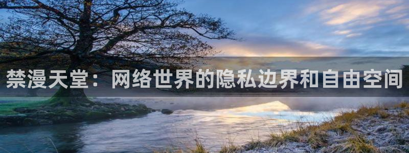 奇漫屋网官网入口：禁漫天堂：网络世界的隐私边界和自由空间