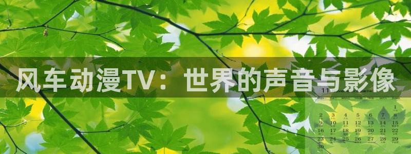 lovestage漫画免费阅读：风车动漫TV：世界的声音与影像