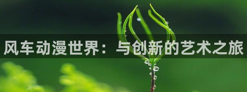 colomanage漫画官网：风车动漫世界：与创新的艺术之旅