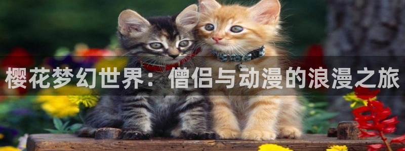 奇漫屋官网网址：樱花梦幻世界：僧侣与动漫的浪漫之旅