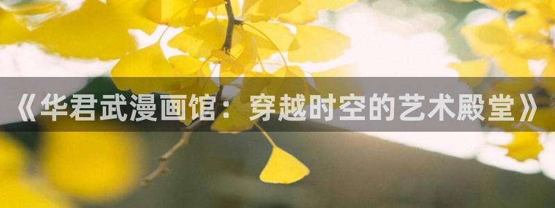 奇漫屋正版网：《华君武漫画馆：穿越时空的艺术殿堂》