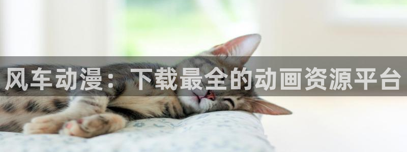 下载奇漫屋：风车动漫：下载最全的动画资源平台