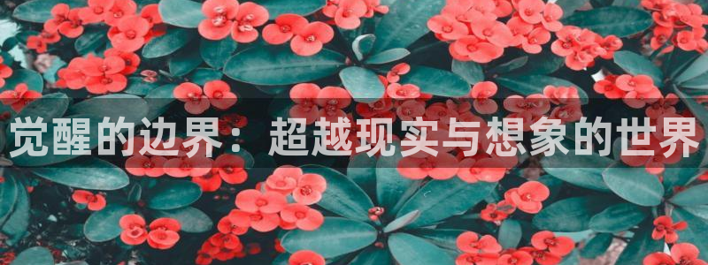 managereader漫画官网入口