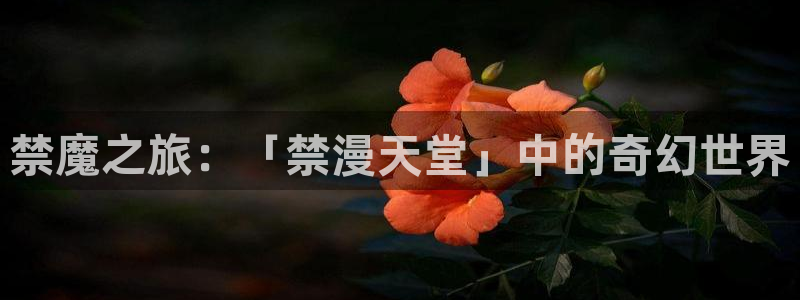 奇漫屋官网网址