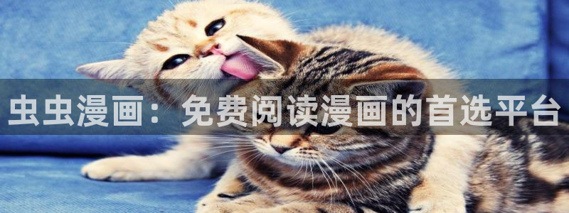 韩国漫画平台kakaopage：虫虫漫画：免费阅读漫画的首选平台